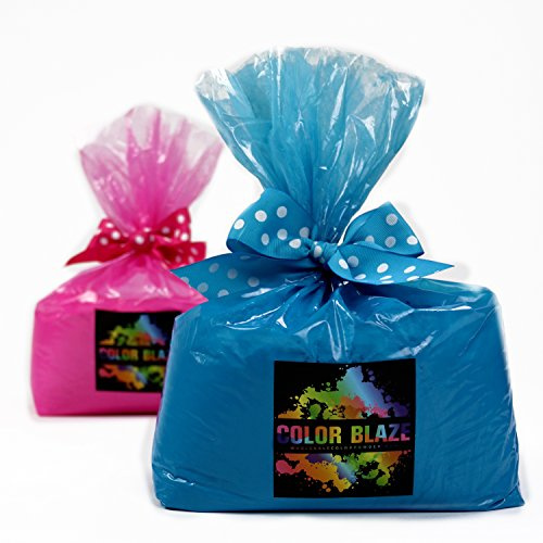Color Blaze Gender Reveal Holi Powder - 2 Bags - 10 lbs Pink & Blue Combo