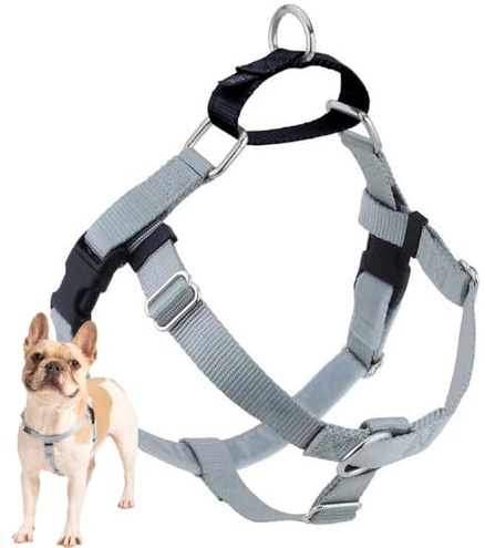 2 Hounds Design Freedom No-Pull No Leash Harness Only, 1-Inch, Large, Silver