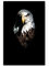 Paul Sinus Art Leinwandbilder | Bilder Leinwand 90x60cm Adler