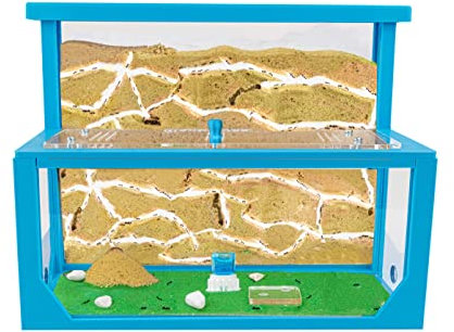 AntHouse - Natürliche Ameisenfarm aus Sand 3D | Modell L (Sandwich + Futterbox) Blau | Ant Farm |Inklusive Ameisenkolonie