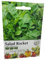 Vegetable Rocket Seeds Salad Rocket 2000 Seeds