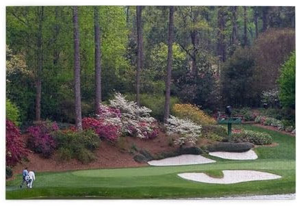 Personalized Picture Puzzles For Adults 1000 Piece, Golf Course Jigsaw Puzzles For Adults 1000 Piece Puzzle Educational Games Or Toys For Elders Children Family Friends