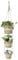 Navaris Cache Pot Plante Interieur - 3X Pot Plante Intérieur Taille S M et L en Jonc de Mer avec Corde en Jute de 7 m Suspension Murale - Panier Decoratif pour Plantes Exterieur