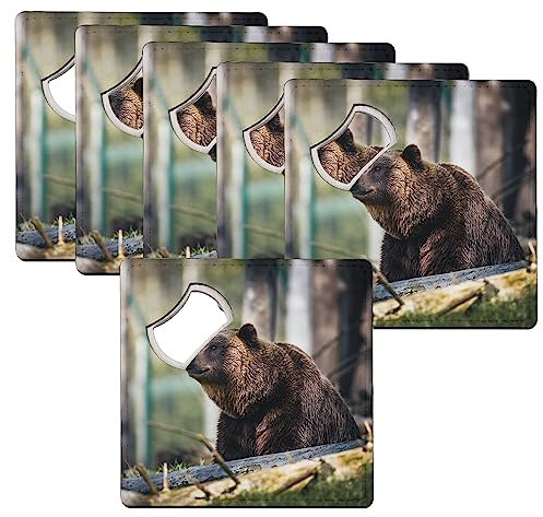 sous Verre Décapsuleur - Ours Brun Grizzly à l'Affut dans la Foret Vie Sauvage - Lot de 6 (92 x 92 mm)
