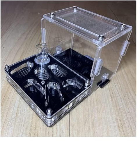 IWENZHKPA Ameisen Terrarium Ameisenburg, Ameisenfarm Aus Acryl Mit Befeuchtendem Wasserturm, Ameisennestfarm, Pädagogisches Lernset Formicarium(S)