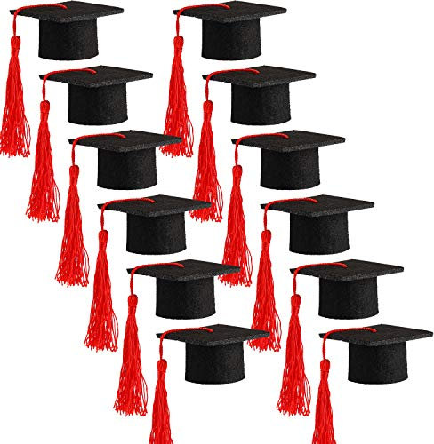 Hicarer 12 Pack 2024 Mini Graduation Caps with tassels Grad Hat Cake Wine Bottle Toppers for Graduation Party Decorations(Red)