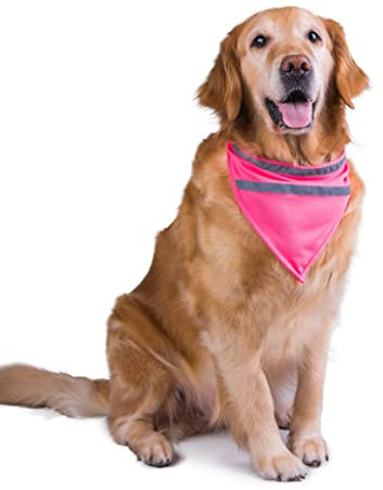 MSNFOASM Hundehalstücher reflektierend Hundehalstuch Klettverschluss Hundehalstuch Katze Rose Rot M