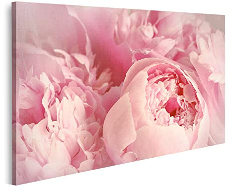 islandburner Bild auf Leinwand Nahaufnahme Pfingstrose Blumen Weich Bilder Wandbilder Poster