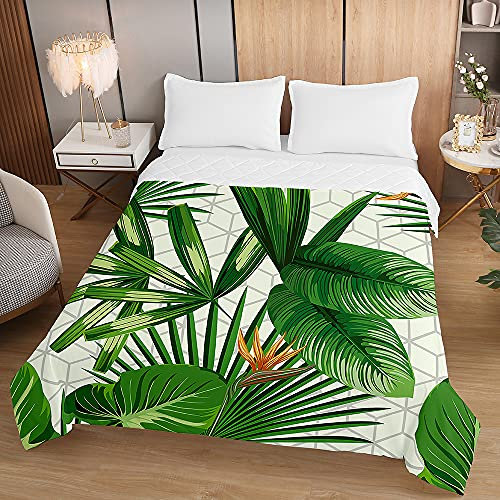 Oduo Boutis Couvre Lit Matelassé de Luxe, 3D Dessus de Lit Microfibre Couverture Climatisation Couette Parure de Lit Èté Canapé l'Air Conditionné Courtepointe (Vert Tropical,230x260cm)
