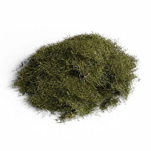 ICE TOYS Muschio 150 Grammi Circa in scatolina per presepe lavoretti Vasca animaletti (Muschio 150g)