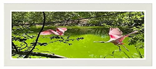 Flat Photo Frames Panoramic Picture Framers Real Wood Poster Frames White 33cm x 98cm Acrylic Glass Wall Decoration Frames