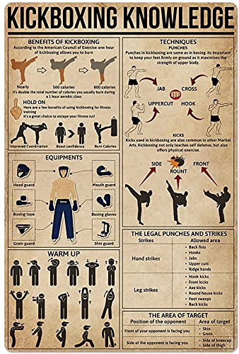 XVBCDFG Bildung Poster Kickboxen Wissen Metall Blechschild Übung Basic Infografik Poster Kampfsport Gym Club Zuhause Schlafzimmer Schule Bildung Wanddekoration Plakette 30,5 x 40,6 cm