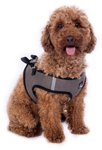 HKM Buddy Soft Dog Harness Stone Grey L