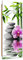 Wanddeko Steine Kunst modern Bilder Orchidee Grau 25x70 cm