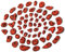 ALPIDEX 60 Klettergriffe | Kletterfläche 4-8 m² | Griffe Größen L, M, S, XS | Starterset | Klettersteine | Klettergriffset - Farbe:Red-Black