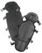 VITO Shin pads, set of 2.