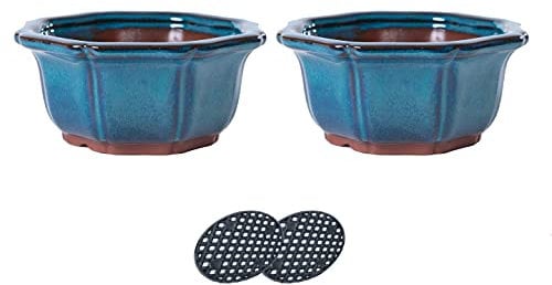 Jinfa 2 Vasi per bonsai in ceramica smaltata con fori di drenaggio + 2 griglie filtranti | Turchese