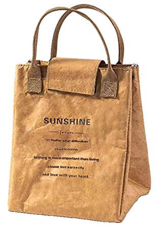 Borsa per Il Pranzo in Carta Marrone Isolati, Lunch Box Borsa termica Brown Kraft Paper Durevole Riutilizzabile Handy Thermal Bag Bento Picnic Tote a prova di perdite per la parete del soggiorno