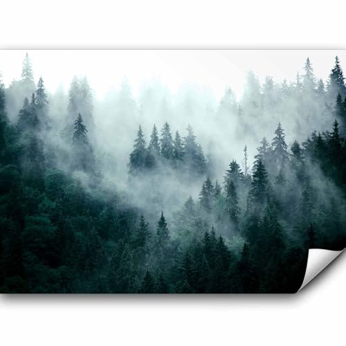 murando - Fototapete selbstklebend Wald Nebel, 490x350 cm, Schlafzimmer | Selbstklebend ohne Kleister, Full HD Druck, ideal fürs Wohn- oder Schlafzimmer, schnelle Montage, lichtbeständig, geruchsfrei