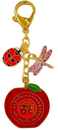 2025 feng shui Harmonie Amulett mit Marienkäfer und Libelle