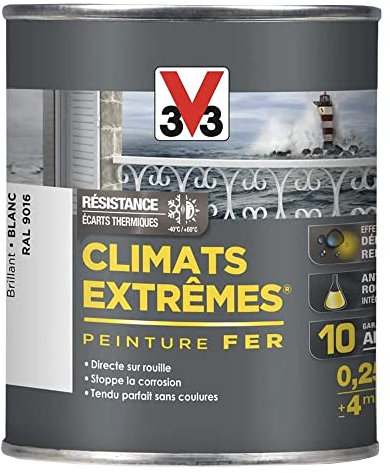 Peinture spéciale fer Climats Extrêmes®