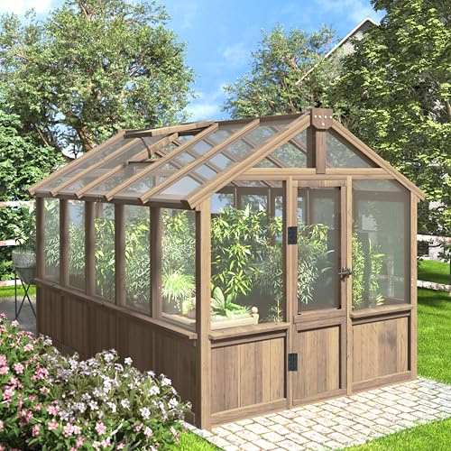 Mupater Invernadero de madera de 6 x 10 pies para exteriores, invernadero resistente con ventana ventilada y puerta con cerradura, invernadero para patio trasero, patio, césped, marrón
