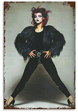 HSYIFF Leinwand Druck Poster Senza Cornice 50 * 70cm Nina Hagen Poster Decorazione Soggiorno Camera da letto Pittura