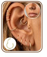 Minnario 10Pcs Klein Ohrringe Creolen Chirurgenstahl Helix Piercings Knorpel Conch Tragus Piercing Ohr Nasenpiercing Ring Set Lip Septum Piercing 6/8/10/12/14mm Gold/Silber Ohrringe Damen Herren