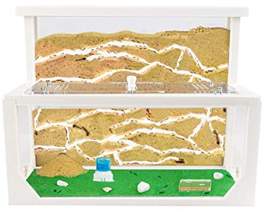 AntHouse - Natürliche Ameisenfarm aus Sand 3D | Modell L (Sandwich + Futterbox) Weiß | Ant Farm | Inklusive Ameisenkolonie