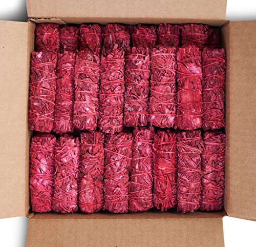 Dragon's Blood Sage Smudge Sticks für Reinigung von Haus, Meditation, Yoga, negative Energie Reinigung | 10,2 cm Drachenblut Salbei Bündel (100)