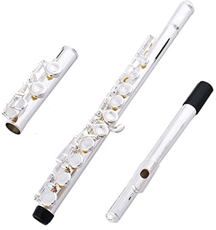 Flöte Offenes Und Geschlossenes Loch Vernickelt Versilbert 16-Loch-Flöte C-Klappe Querflöte Anfänger
