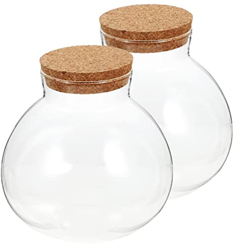 GANAZONO 2pcs Micro Landscape Ecological Bottle Cactus Decor Clear Display Case Hydroponic Planter Micro Landscape Planter Bottle Glass Slant Cut Bubble Bowl Diy Terrarium Kit Empty Jar Air