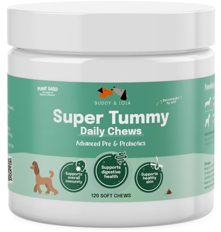 Buddy & Lola Probiotic Chews for Dogs - Gut Health, Plant Based Chews | Plant-Based Probiotic Chews For Gut & Skin Health. Prebiotics & Fibre Firm Stools, Reduce Wind & Itching. 33.1bn CFU.