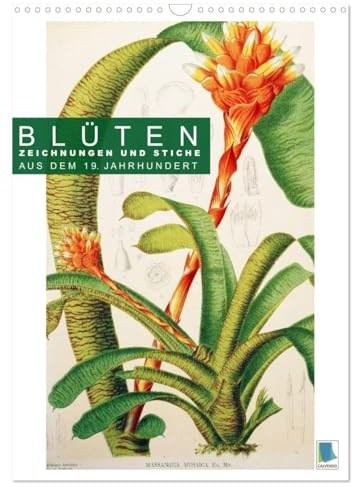 Blüten: Zeichnungen und Stiche aus dem 19. Jahrhundert (Wandkalender 2026 DIN A3 hoch), CALVENDO Monatskalender: Farblithografien und Kupferstiche zarter Pflanzenstudien (CALVENDO Kunst)