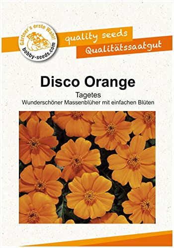 Blumensamen DISCO Orange Tagetes Portion
