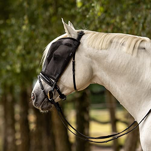 Busse
