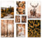 ARTFAVES® Poster Set - AUTUMN FOREST - mehrteilige Wanddeko Wohnzimmer & Schlafzimmer - 8 moderne Wandbilder Herbst, Wald, orange, braun - ohne Bilderrahmen