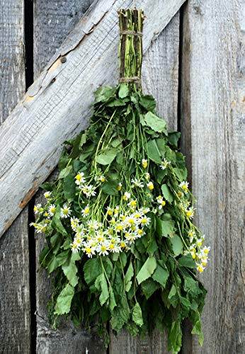 Birke + Kamille Bio Sauna Schneebesen Venik