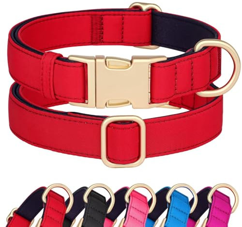 Didog Hundehalsband aus Nylon, weich gepolstert, strapazierfähiges Hundehalsband mit Schnellverschluss-Metallschnalle, leichtes und atmungsaktives Hunde Halsband für große, mittelgroße,Rot,M