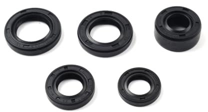 FSFYUK 5-teiliges Motoröl-Dichtungsset für 50ccm 70ccm 90ccm 110ccm 125ccm ATV Go Kart Pit Dirt Bike Gummi Schwarz