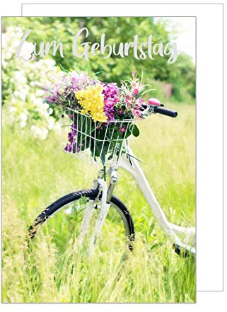 Edition Seidel Premium Geburtstagskarte mit Silberprägung und Umschlag. Glückwunschkarte Grusskarte Billet Zum Geburtstag Happy Birthday Mann Frau Glückwünsche Blumen Strauß Korb Fahrrad (G3108 SW023)