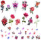 Temporäre Tattoos, Schwarze Rosen und Bunte Blumen Design, Aufkleber für Frauen (rosy)