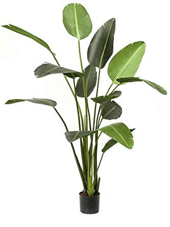 artplants.de Deko Pflanze Strelitzie Pavlova, grün, 190cm - Kunst Paradiesvogelblume