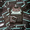 25 Trainingskarten Islandpferd Spezial Set 1