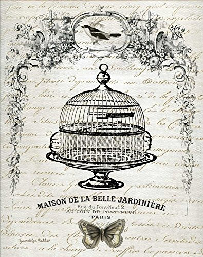 Feeling at home KUNSTDRUCK auf MATTE PAPIER 220gr Französischer Birdcage I Babbit Gwendolyn - Tiere vertikale Poster Birds Birdcage Black White Vin Bild auf Papier cm_49_X_38