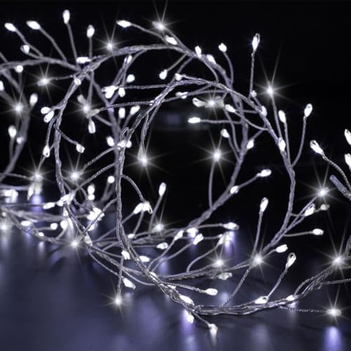 Feeric Lights et Christmas - Boa Lumineux extérieur 5m 400 LED Blanc Froid + transfo