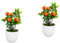 Alipis 2 Stück Orangefarbene Topfornamente Künstlicher Orangenbaum Künstlicher Bonsai Künstlicher Obstbaum Künstlicher Orangenbaum Simulations Bonsai Ornament Künstlicher