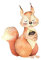 Goldkindzauber DIY Aufbuegler Patch Sticker Applikation Eichhörnchen 1 Kleidung Patches Zum Aufbügeln