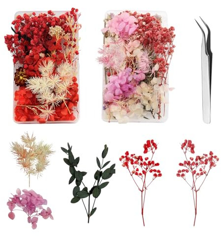 GZGXKJ 2 Boxen Trockenblumen zum Basteln Kleine Trockenblumen Mini Trockenblumen mit Pinzette Getrocknete Blumen für Epoxidharz Deko Basteln DIY Harz Nail Art Kerze Home Decor