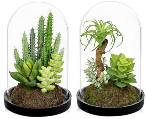 Arborus 2 Stück Künstliche Sukkulenten im Glas Kunstpflanzen Klein 15 cm Sukkulenten in Glasglocke Künstliche Pflanzen Tisch Deko Dekopflanzen für Wohnzimmer Schlafzimmer Deko